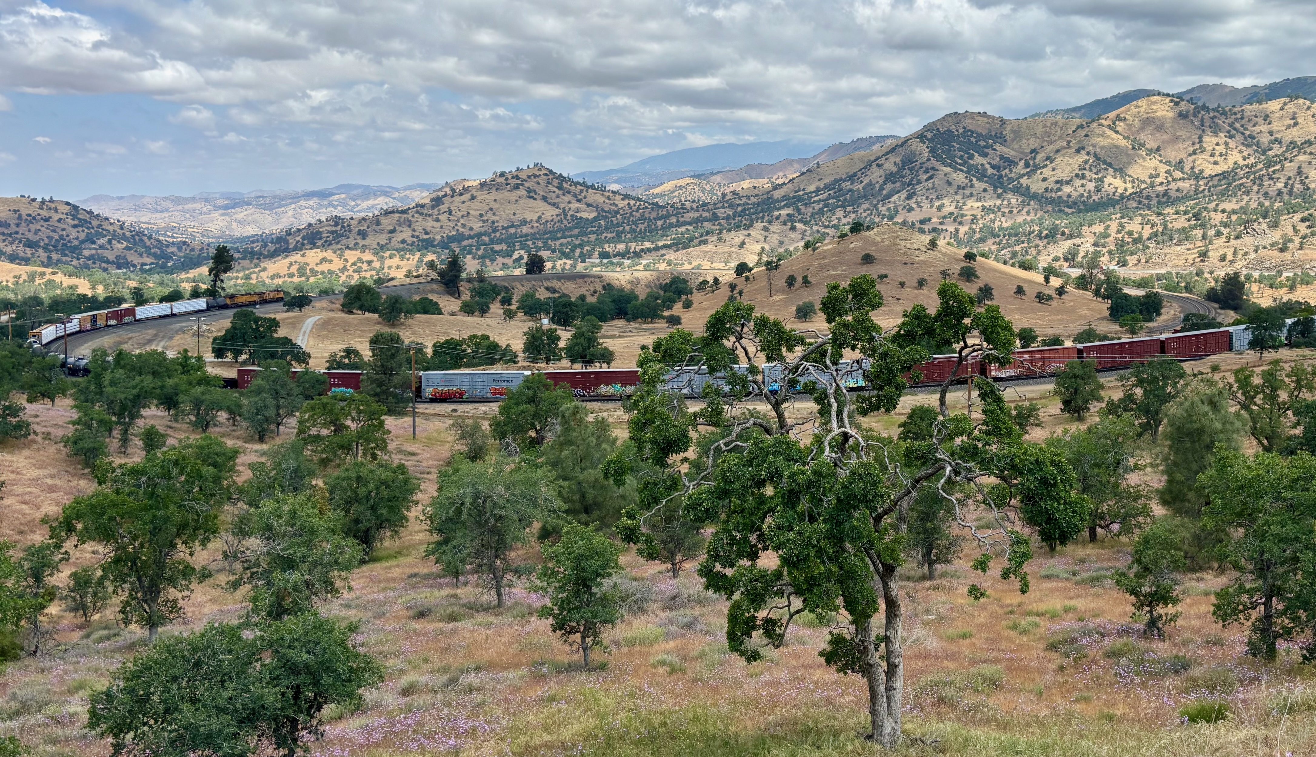 Reggie’s Realm™ Video Podcast: The Famous Tehachapi Train Loop! – Life ...